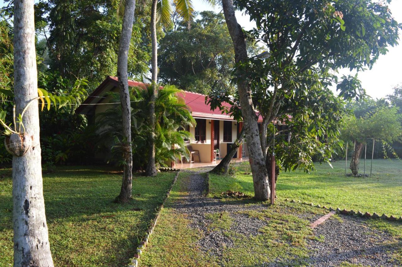Bed and Breakfast Zum Deutschen Bentota Esterno foto