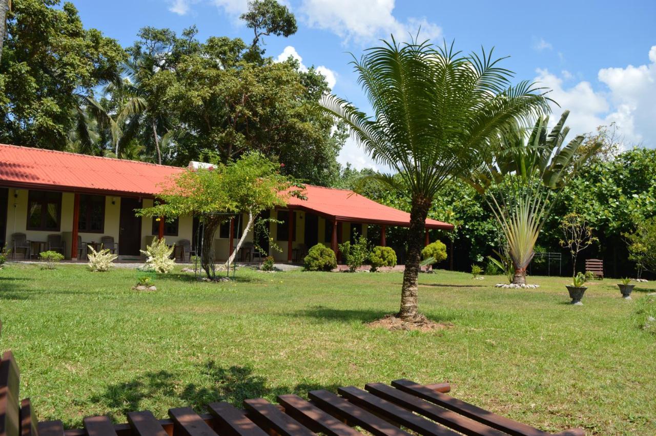 Bed and Breakfast Zum Deutschen Bentota Esterno foto